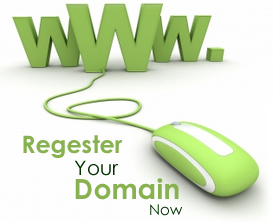 .pk Domain Register